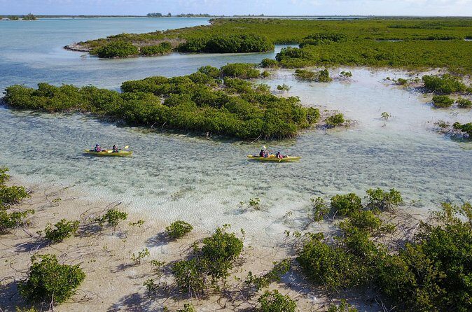 Kayak Eco Tour - Weather and Safety: What to Expect When Conditions Change