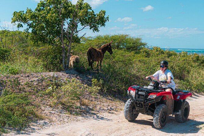 Lets Ride Adventures ATV Tour in Grand Turk - Price and what you actually get for $80 per person
