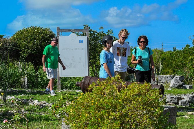 Love Buggy Island Tour with Lunch - Price and Value: Why $229 Feels Reasonable Here