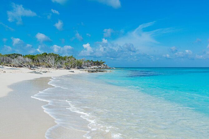 Mangrove Cay and Iguana Island Tours - Pickup, timing, and how the day usually runs