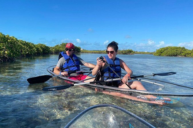 Mangrove Cay and Iguana Island Tours - What you’re really paying for: value in a wildlife-heavy day