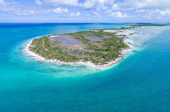 Mangrove Cay and Iguana Island Tours - Wildlife highlights you can build your expectations around