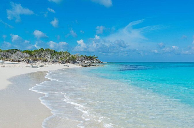 Mangrove Cay and Iguana Island Tours - Who this tour fits best