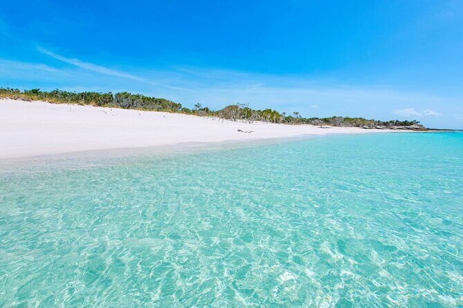 Mangrove Cay and Iguana Island Tours - A few tips that make the day go better