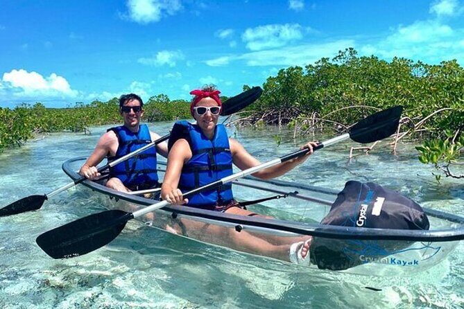 Mangrove Cay Tour - What happens in the water: the 2-hour rhythm