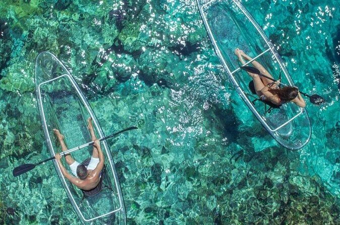 Mangrove Cay Tour - Price and value: is $130 per person fair?