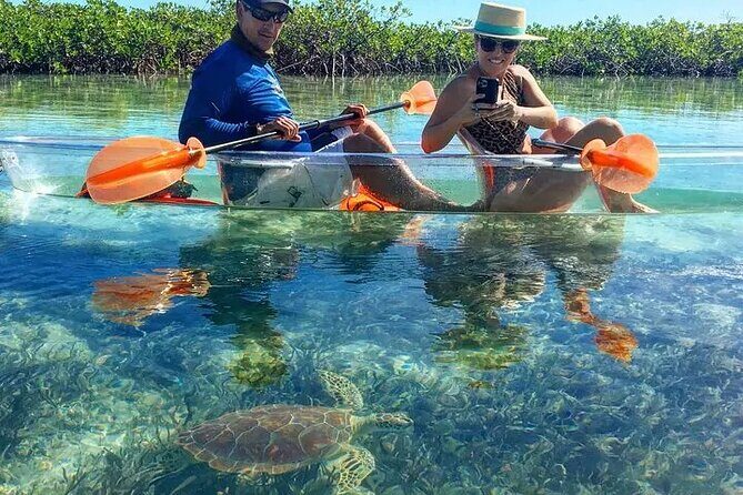Mangrove Cay Tour - Who should book this Mangrove Cay Tour?