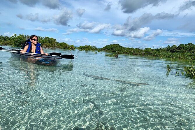 Mangrove Clear Kayak Tour - Where You Go in Providenciales: From Leeward Settlement to Mangrove Cay