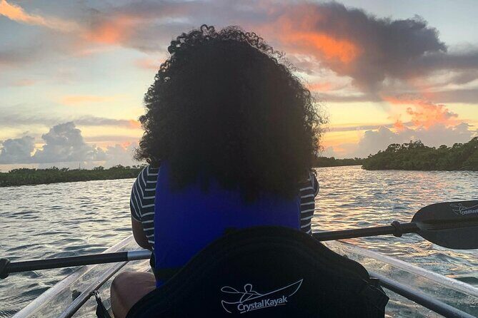 Mangrove Clear Kayak Tour - Mangrove Cay: What You’ll Actually See Under the Surface