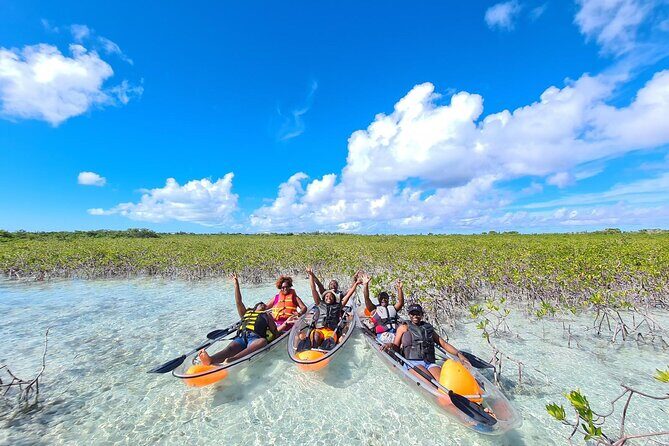Mangrove Clear Kayak Tour - Fitness Level and How Hard Is It, Really?