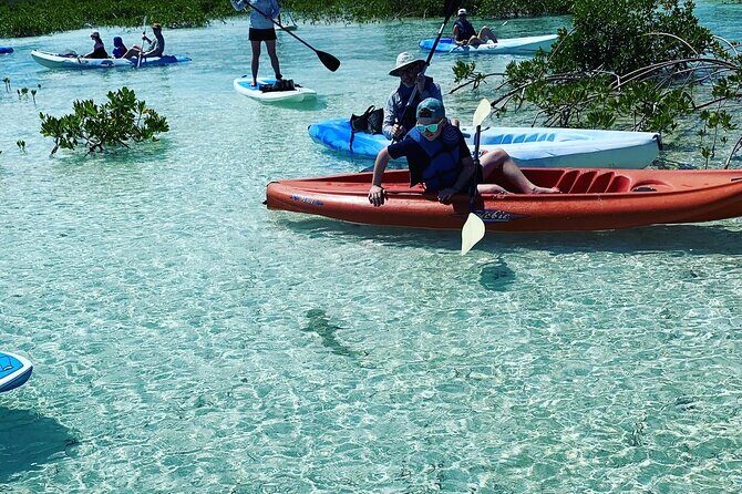Mangroves Kayak Tour - Where You Start at Turks Aqua Adventures and Get Your Paddle Basics
