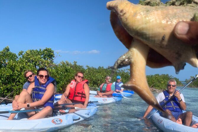 Mangroves Kayak Tour - Mangroves Matter: Nursery Grounds and Coastal Protection (Why You’re Really There)