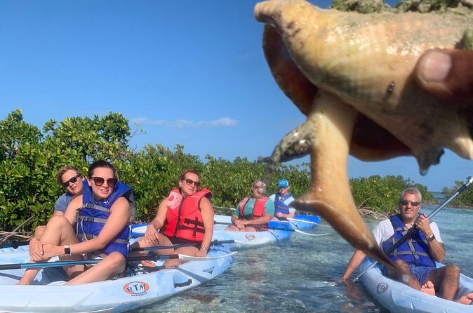 Mangroves Kayak Tour - Timing and Tide Tips to Avoid a Wobbly Start