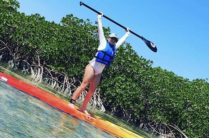 Mangroves Stand-Up Paddleboard Tour - The Protected Paddling Route: What the Mangroves Look Like From Your Board