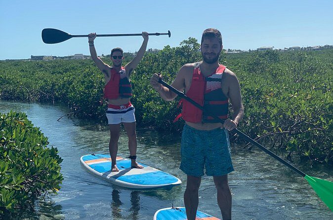 Mangroves Stand-Up Paddleboard Tour - Wildlife Spotting: Birds and Marine Life Up Close