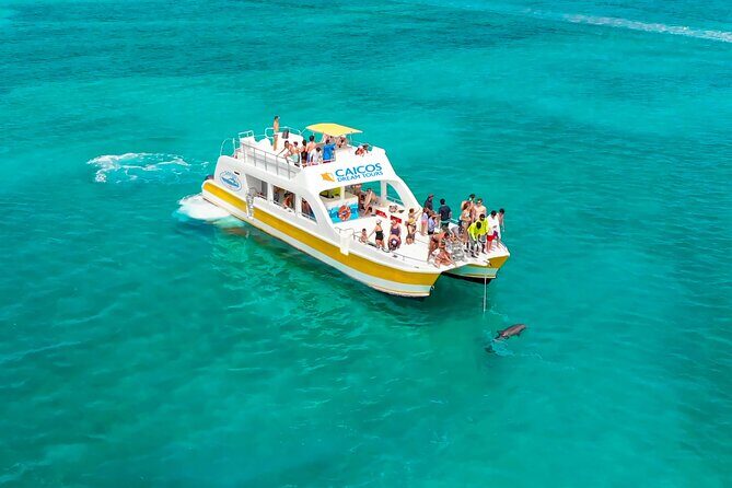 Morning Half Day Cruise from Providenciales with Snorkeling and Iguana Island - Cruising Out of Grace Bay: What the Morning Feels Like