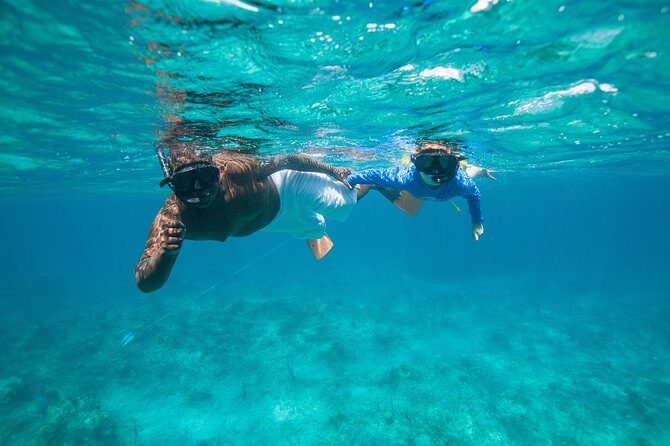 Morning Half Day Cruise from Providenciales with Snorkeling and Iguana Island - Small Risks to Consider Before You Go