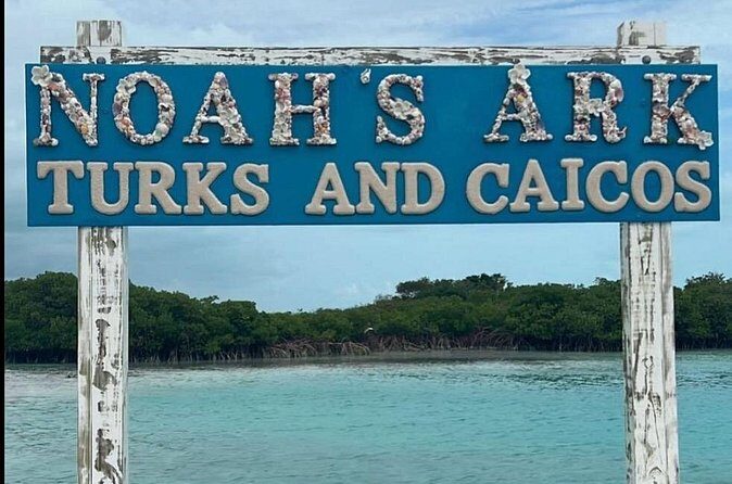 Noahs Ark Catamaran Trip - Price and value: is $115 a good deal?
