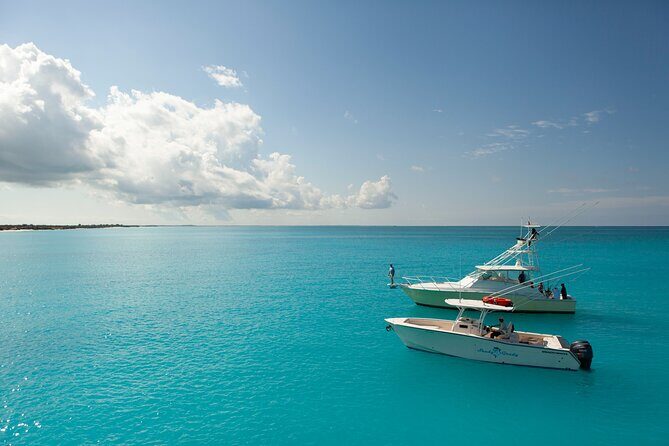 Private 1/2 Day Afternoon Bottom Fishing Charter on "Shady Grady" - Boat Comfort on the Shady Grady: Yamaha Power, Shade, and a Bathroom