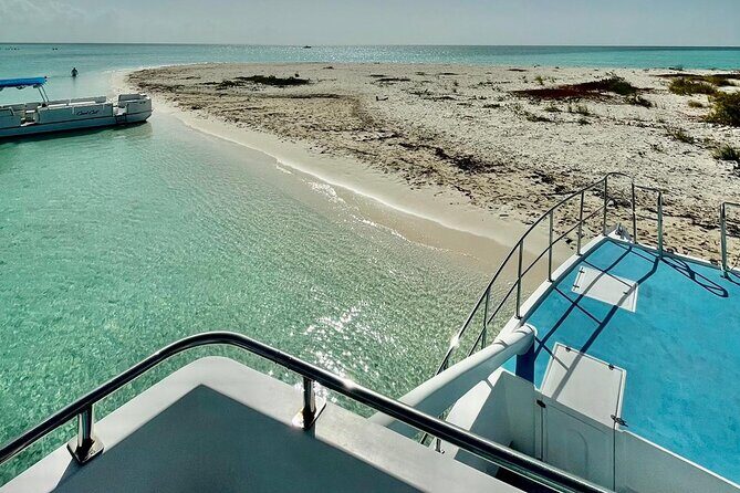 Private 7-Hour Catamaran Tour in Turks and Caicos - Little Water Cay and Iguana Island: Optional, Simple, and Free