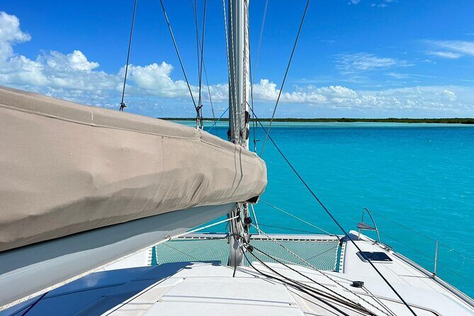 Private Afternoon Tour Catamaran 44 Big Ben - Key Highlights Worth Planning For