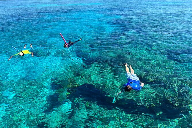 Private Boat Island Hopping & Snorkeling in Turks & Caicos 4Hrs - A 4-hour private boat run from South Bank Marina