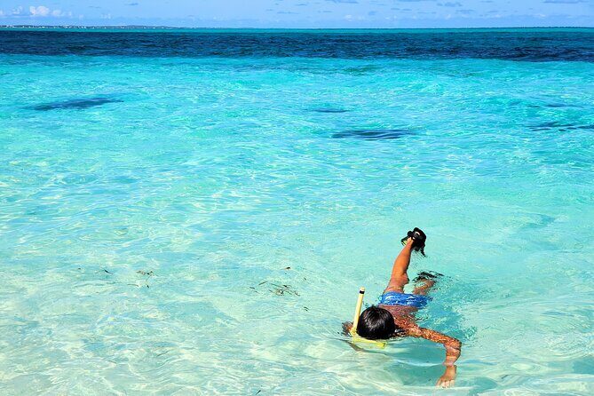 Private Boat Tour with Snorkeling, Island Hopping, and Noahs Ark - Grace Bay Beach: Snorkeling That’s Actually Convenient