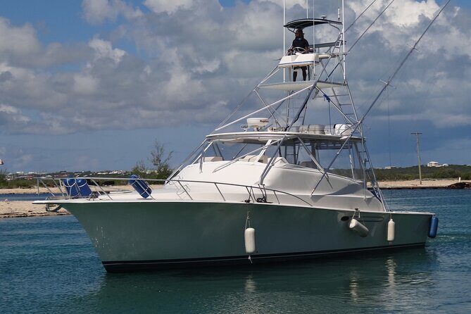 Private Deep Sea Fishing 1/2 Day morning on"Angler Management" - Quick hits before you cast