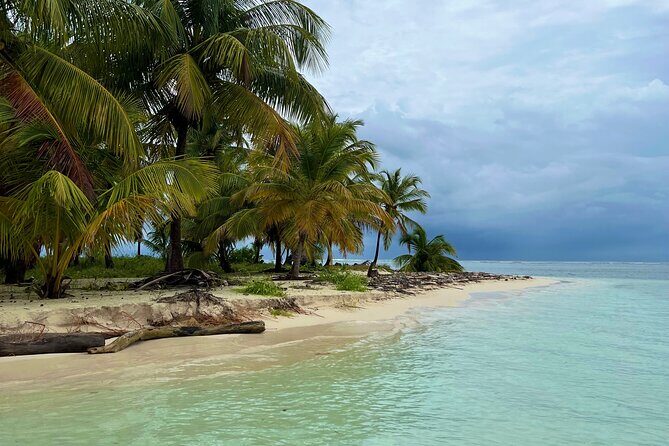 Private Half-Day Catamaran Cruise, Turks and Caicos Islands - Snorkeling at Leeward Beach: best way to get your money’s worth