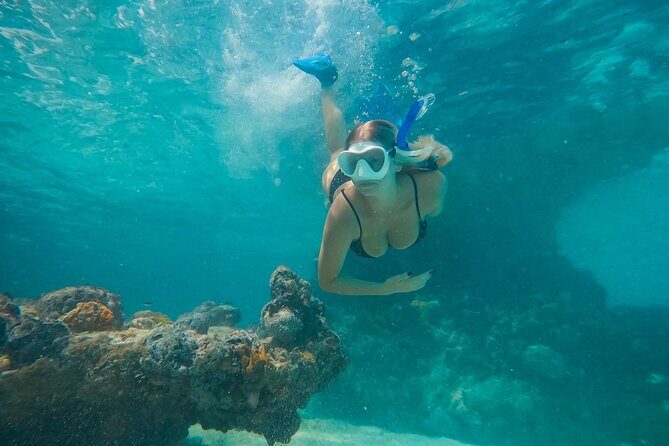 Private Half Day Luxury Snorkeling Charter - Quick hits