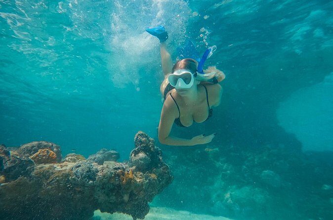 Private Half Day Luxury Snorkeling Charter - Shipwreck time: the thrill factor (and the attention you’ll want)
