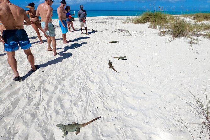 Private Reef, Beach and Sandbar Tour from Providenciales - Grace Bay Snorkeling and Beach Time: What to Expect
