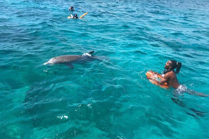 Private Reef, Beach and Sandbar Tour from Providenciales - Little Water Cay or Half Moon Bay: Weather Drives the Best Choice