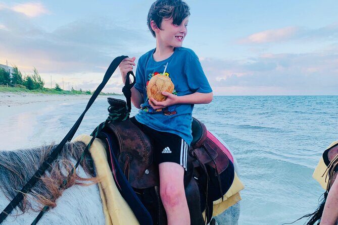Shared Horseback Riding in Turks and Caicos - Meet the Horses: Learning Horse Care Before You Ride