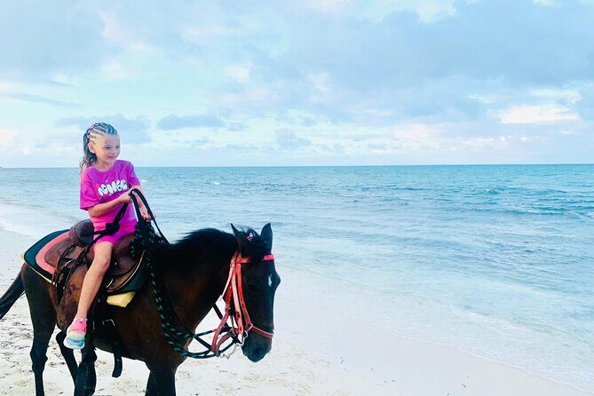 Shared Horseback Riding in Turks and Caicos - The Ride Itself: Walking Along the Pristine Shore