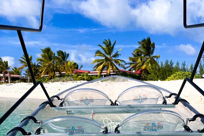 Sip & Sea Mangrove Glass Boat Tour Grand Turk Island - Key Highlights You’ll Care About