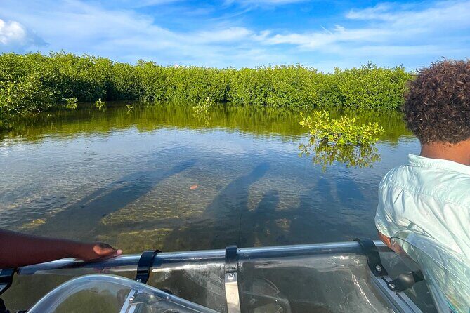 Sip & Sea Mangrove Glass Boat Tour Grand Turk Island - Price and Logistics: Is $105 per Person Worth It?