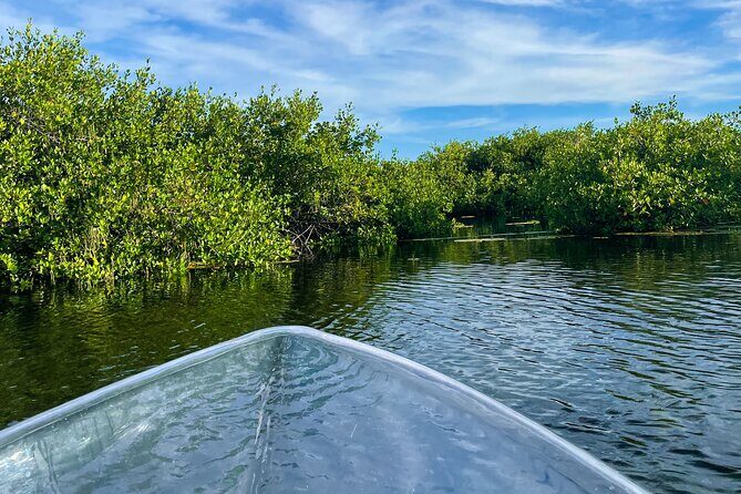 Sip & Sea Mangrove Glass Boat Tour Grand Turk Island - Practical Tips: What to Bring for Wildlife Photos and Comfort