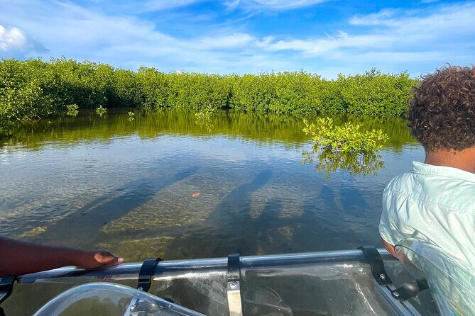 Sip & Sea Mangrove Glass Boat Tour Grand Turk Island - Should You Book Sip & Sea on Grand Turk?