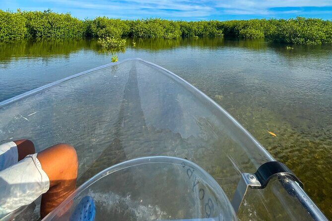 Sip & Sea Mangrove Glass Boat Tour Grand Turk Island - North Creek Canal Views, Wildlife Stops, and the Dredger Crane