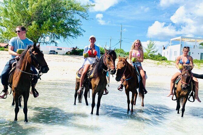 Small Group Horseback Riding Adventure in Caicos Islands - Why This Providenciales Horse Ride Feels Personal
