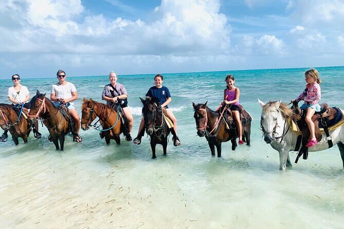 Small Group Horseback Riding Adventure in Caicos Islands - Special Occasions, Coconut Treats, and What’s Included