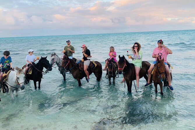 Small Group Horseback Riding Adventure in Caicos Islands - Price and Value: What $210 Actually Buys You