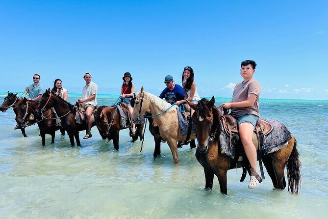 Small Group Horseback Riding Adventure in Caicos Islands - Practical Tips: Weight Limit, Wind, and What to Bring