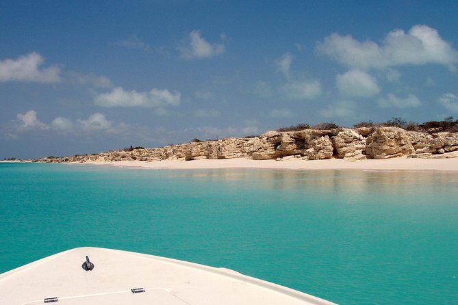 Snorkel Eco Tour - What you’ll see under the surface: turtles, reef sharks, rays, and reef fish