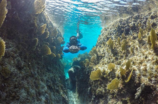 Snorkel Eco Tour - What’s included (and what you still need to pack)