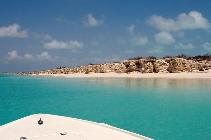 Snorkel Eco Tour - Who should book this tour (and who should think twice)