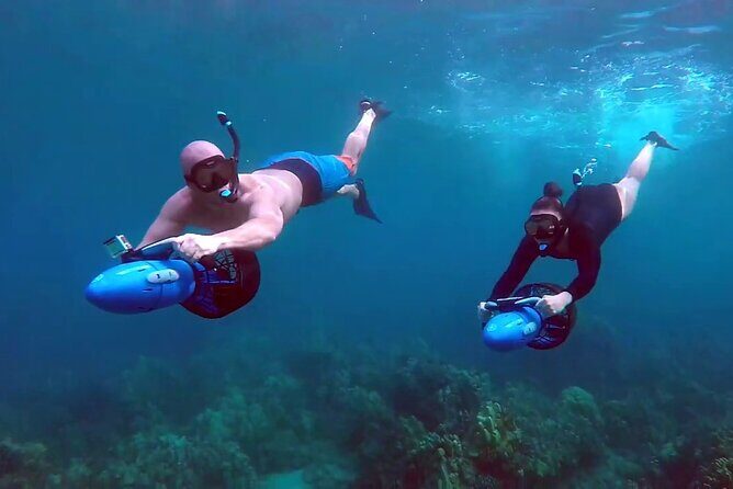 Snorkeling with Sea Scooters and Sea Adventure - Offshore - Key Things You’ll Notice on This Tour