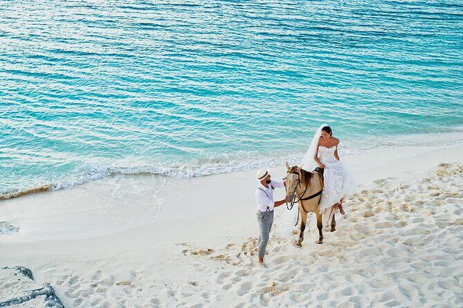 Spectacular Private Beach & Ocean Ride in Providenciales - Horseback Through the Surf: Why This Ride Feels Different