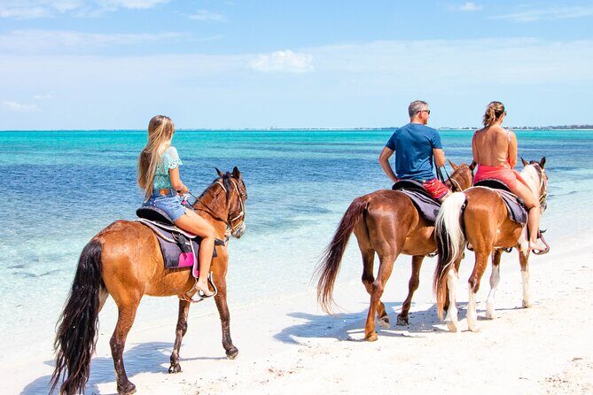 Spectacular Private Beach & Ocean Ride in Providenciales - Safety First: Nose-to-Tail Horses and No Experience Needed